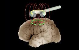 �����������������